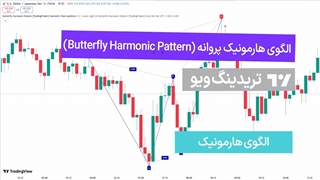 اندیکاتور الگوی هارمونیک پروانه (Butterfly Harmonic Pattern) در تریدینگ ویو [تریدینگ ویو]