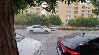 تگرگ بندرعباس را سفیدپوش کرد