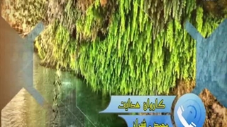 صدای هدایت یافتگان  شیعه