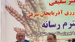 دکتر شفیعی: تأمین غذای کافی و سالم، اولویت اصلی جهاد کشاورزی است