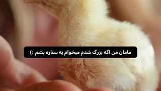 شتتت آرزو بر جوانان عیب نیست