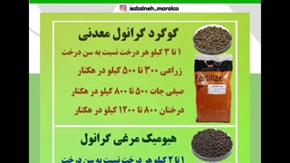 چالکود زمستونت با این برنامه کودی