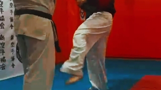 Shihan Saeed Mohammadi