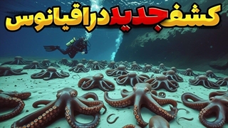 کشف بزرگ‌ترین تجمع دریایی جهان! مرگ مشکوک اختاپوس ها