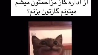 خانومی میتونم گازتون بزنم؟