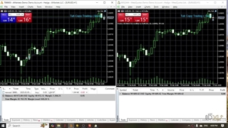 معرفی اکسپرت کپی ترید | طوطی