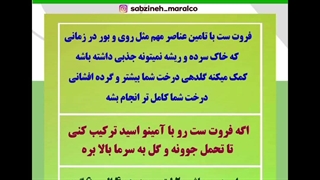 جلوگیری از ریزش. شکوفه و گلها بعد از باز شدن