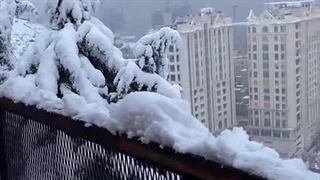 ویدیو - منظره شگفت‌انگیز بارش برف سنگین در ولنجک - تهران سفیدپوش شد!