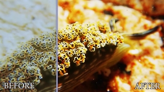 اصلاح رنگ  Color Correction