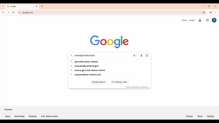 Step-by-Step SASSA Status Check Online