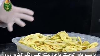 آموزش کامل خشک کردن سیب 09138900047