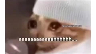 کلیپ های اینستا