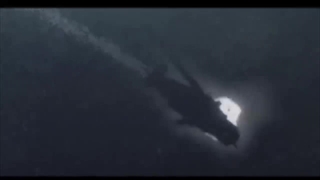 Godzilla V.S Gamera Movie