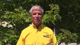 نحوره استفاده از شیلنگ و اسپری سمپاش