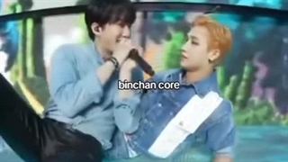 BinChan core