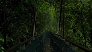 ᴀ ʙʀɪᴅɢᴇ ᴛᴏ ʜᴇᴀᴠᴇɴ +کپ