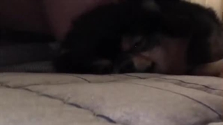 بچه ها نمیدونم شما چه حسی دارید ، ولی وقتی خبر مرگ یونتان رو شنیدم گریه کردم