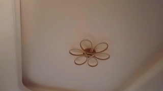 رضایت مشتری