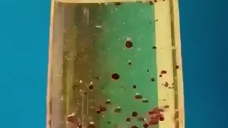 شاید برای شما هم جالب باشد!