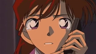 انیمه کارآگاه کونان / Detective Conan قسمت 311 زیرنویس فارسی چسبیده