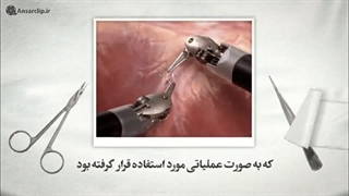 موشن گرافیک | ایران را بهتر بشناسیم (۲)