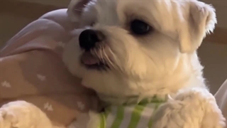 ساخت بهترین EN-Vlog پارت 2