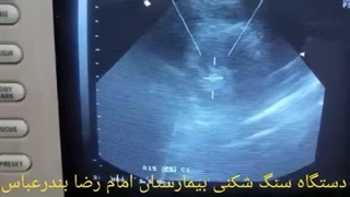 دکتر سید محسن هاشمی متخصص کلیه بندرعباس عصب‌کشی