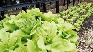 EV4A - Unit2 - آموزشگاه زبان شایان