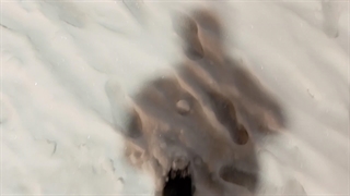 آیا خداوند گناهانمان را می بخشد ؟ بهمن جولائی