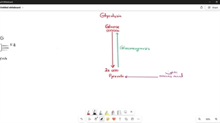 منابع آزمون آیمت-imat- جمع بندی کل متابولیسم آیمت و تولک