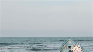 انسان نیاز به یک مونس دارد...