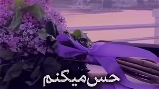 تا تورو دارمم....