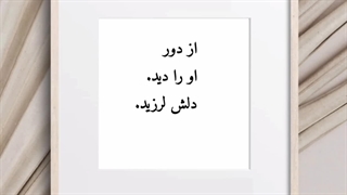 وقتی مورچه عاشق شد