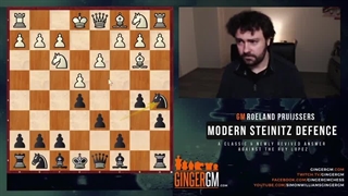 اشتاینیتس مدرنیزه کشنده