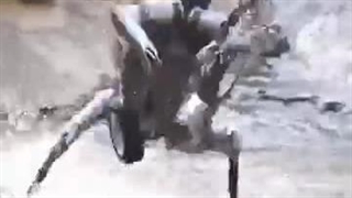 سگ رباتیک با قابلیت حرکت در شرایط صعب العبور