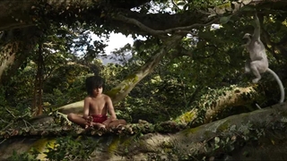 فیلم سینمایی The Jungle Book 2017 زیرنویس چسبیده