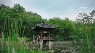 سریال ملکه تاج گذار قسمت 12آخر زیرنویس فارسی(لینک کیفیت بالاتر در کپشن)