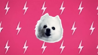 آهنگ APT رزی ورژن سگ