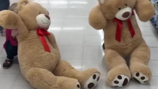 بهترین خرس ولنتاین برای روز عشق و هدیه دادن