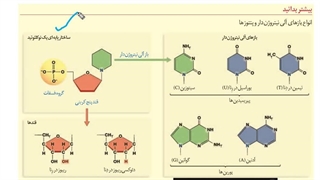 دی  و دی زیست تست زنی کنکوری روش های تست زنی مشاوره کنکور غیاثی 09149285452