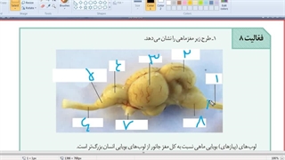 دی  و دی زیست تست زنی کنکوری روش های تست زنی مشاوره کنکور غیاثی 09149285452