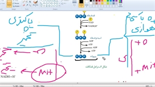تست زنی  رمزگردانی مشاوره کنکور استاد غیاثی 09149285452