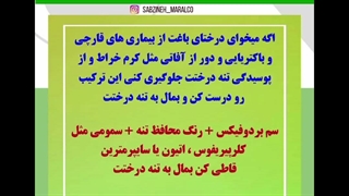 آموزش ساخت رنگ محافظ تنه درخت