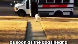 آموزش و تفریح، بهترین روش یادگیری