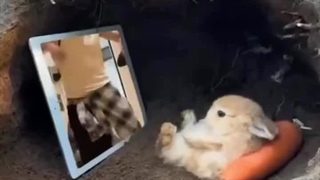 کپشن زده بود< تفریحات سالم جونگکوکی توی مرخصیش> خودم دیگه چیزی ندارم اضافه کنم