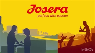 چرا جوسرا بهترین برند غذای گربه و سگ است؟