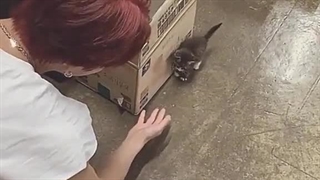 جونگوونی تولدت مبارککککک (با تاخیر) تو بهترین لیدری هستی که دیدم ، همیشه سالم بمون  ♡