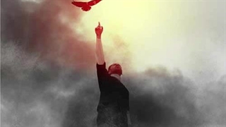 احمد سلو پرواز