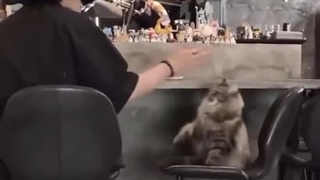 وقتی میبینی یونگی با گوربات داره بازی میکنه دلم گوربا خواست