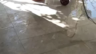 کفسابی در شهریار ، کرج ، هشتگرد